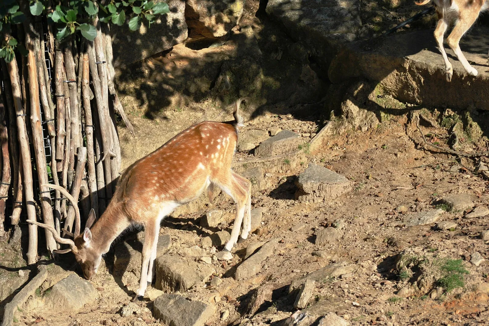 Vigo Zoo