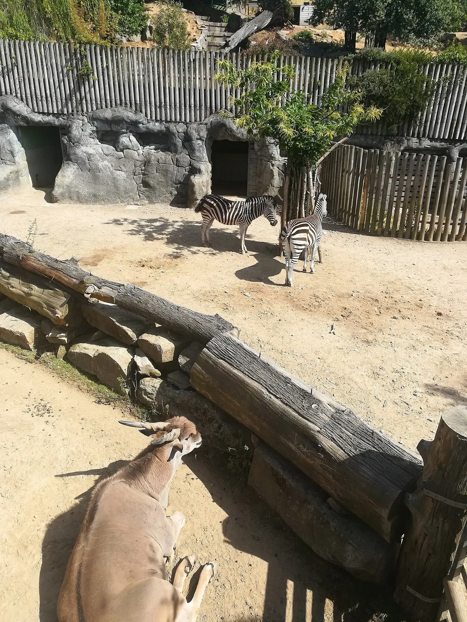 Zoológico de Vigo