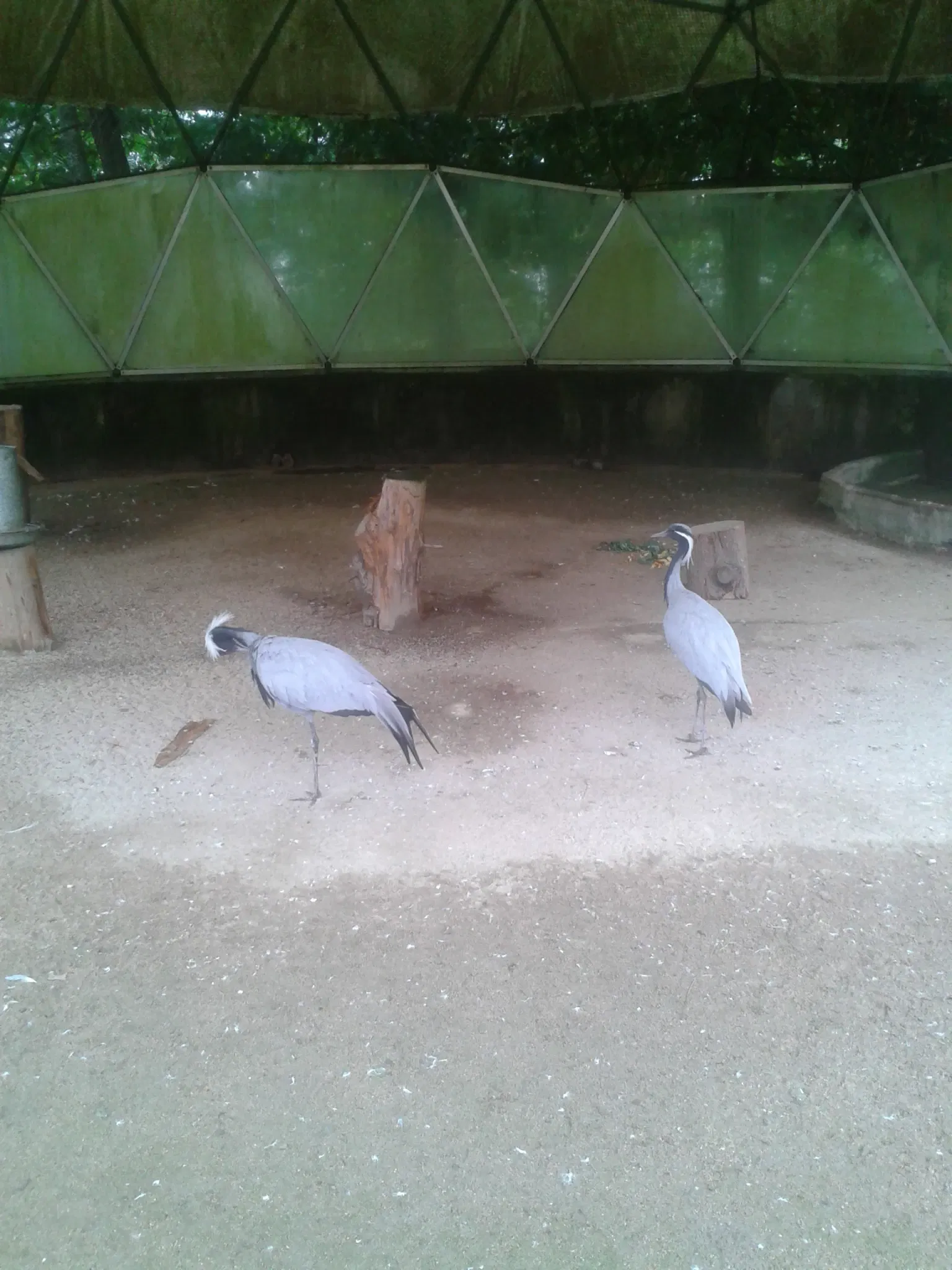 Zoológico de Vigo