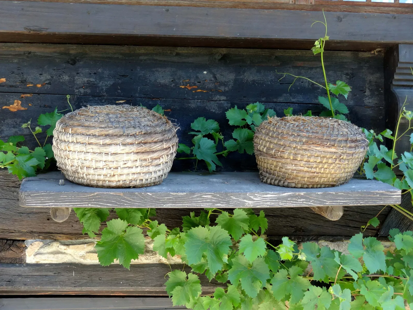 Heimatmuseum Fürstenberger Hof