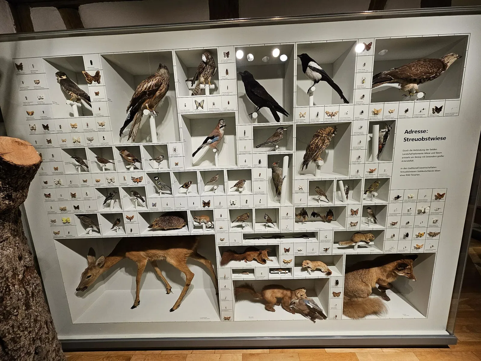 Naturkundemuseum