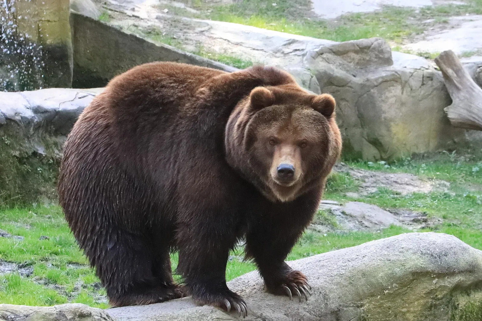 Lüneburg Heath Wildlife Park