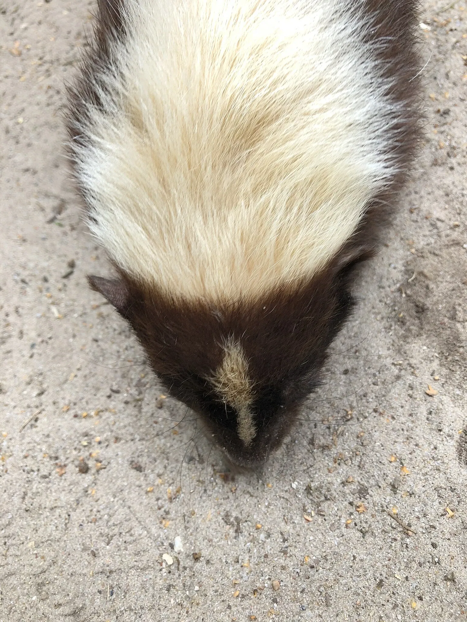Lüneburg Heath Wildlife Park