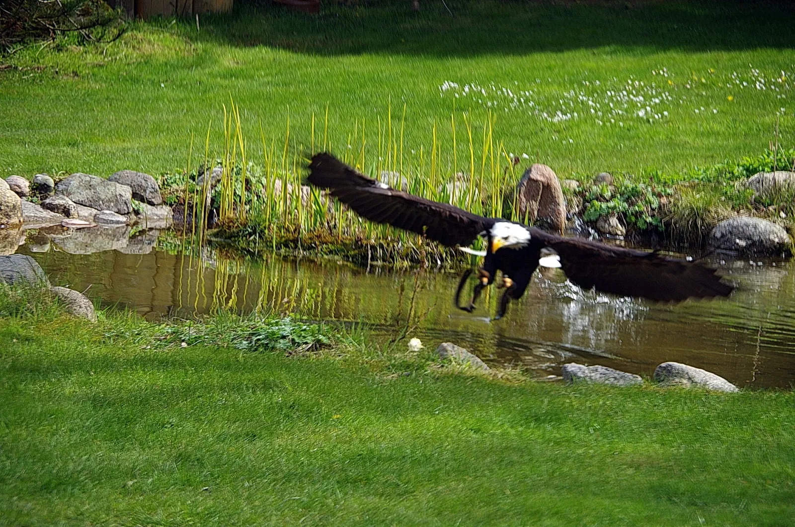 Lüneburg Heath Wildlife Park