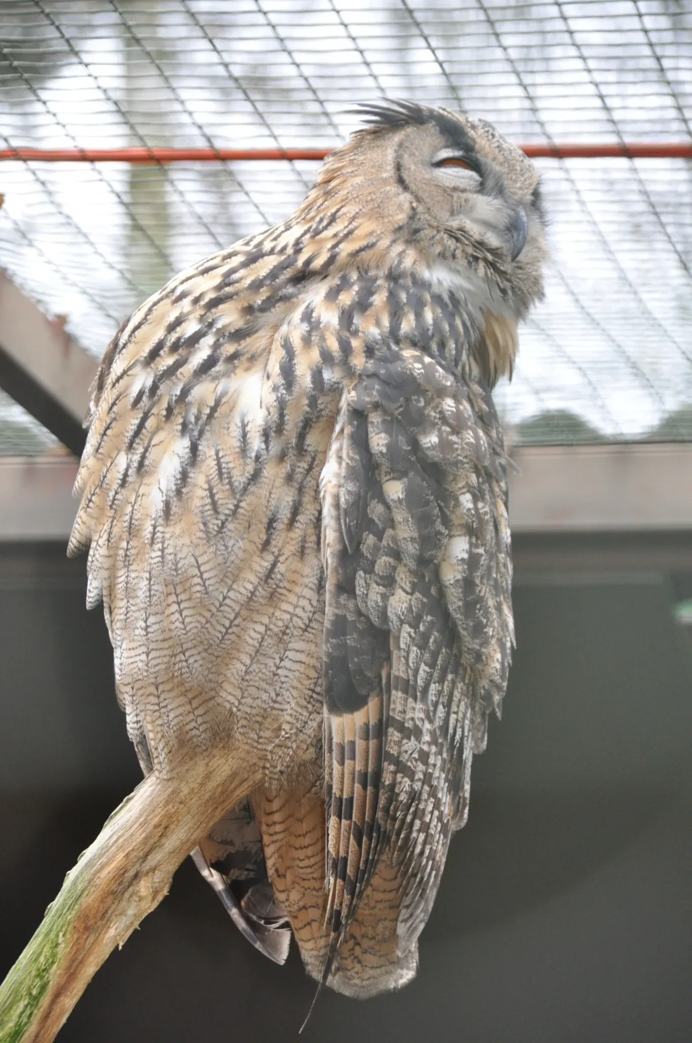 Parc animalier de la lande de Lunebourg