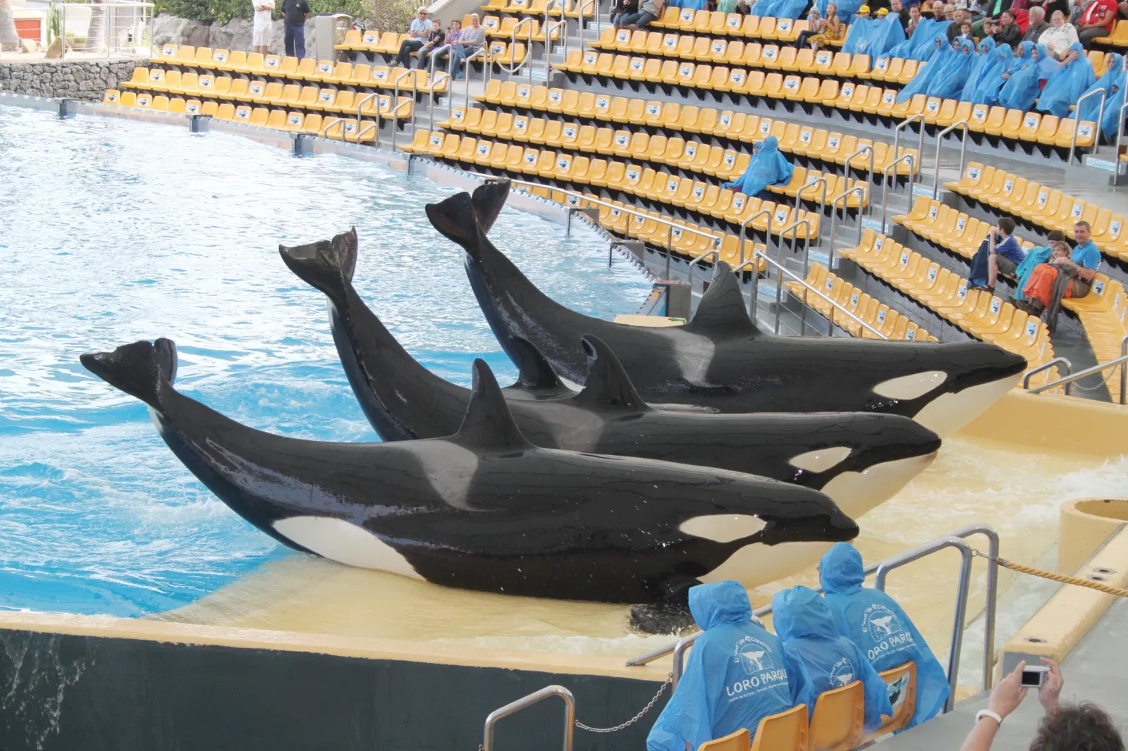 Loro Parque