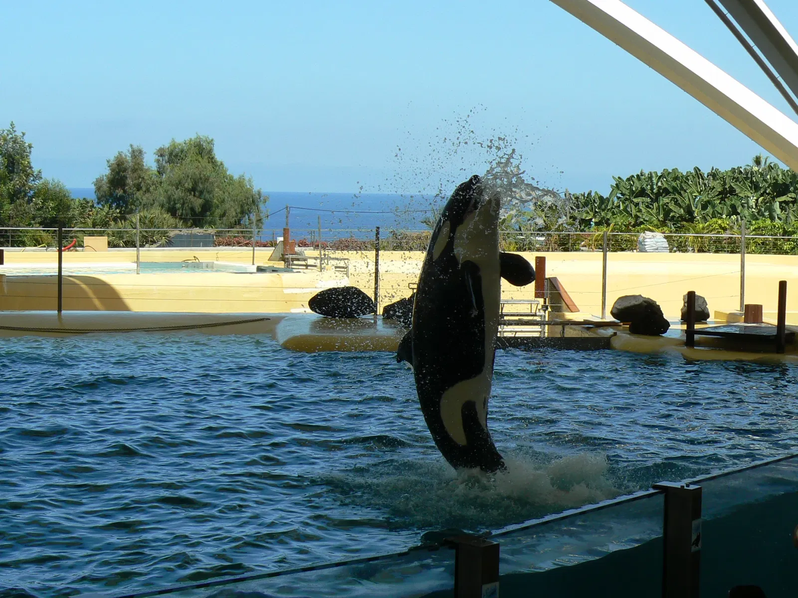 Loro Parque