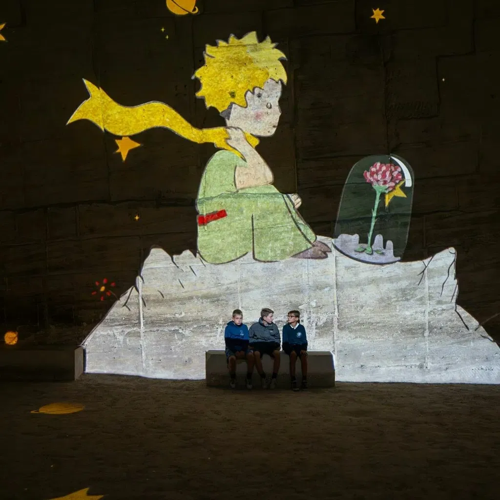 The Little Prince