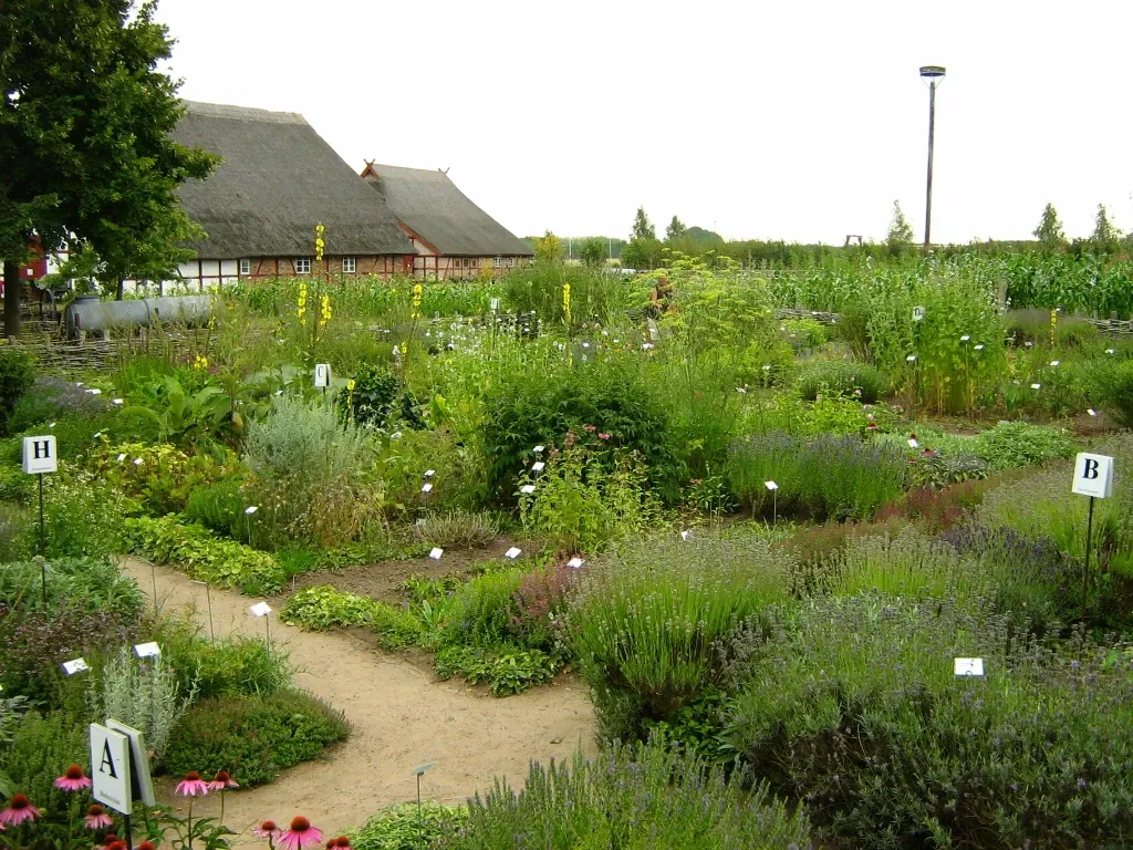 Freilichtmuseum Klockenhagen