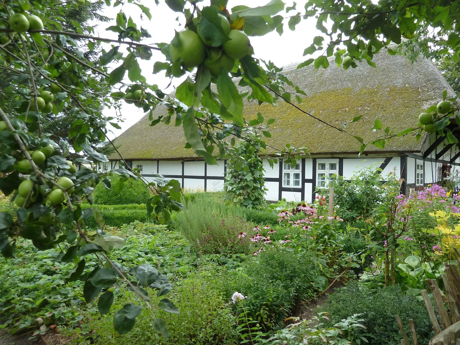 Freilichtmuseum Klockenhagen