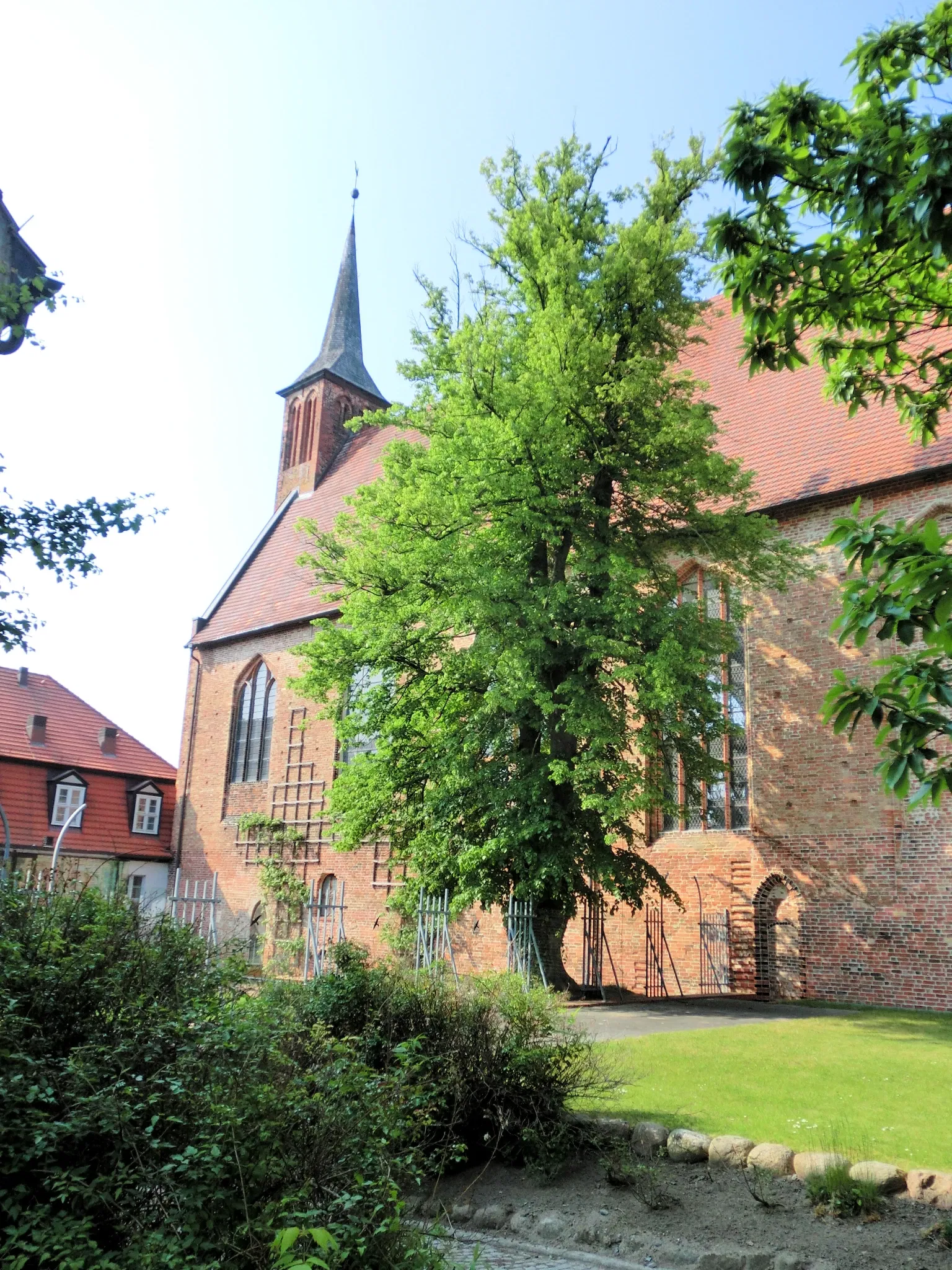 Deutsches Bernsteinmuseum