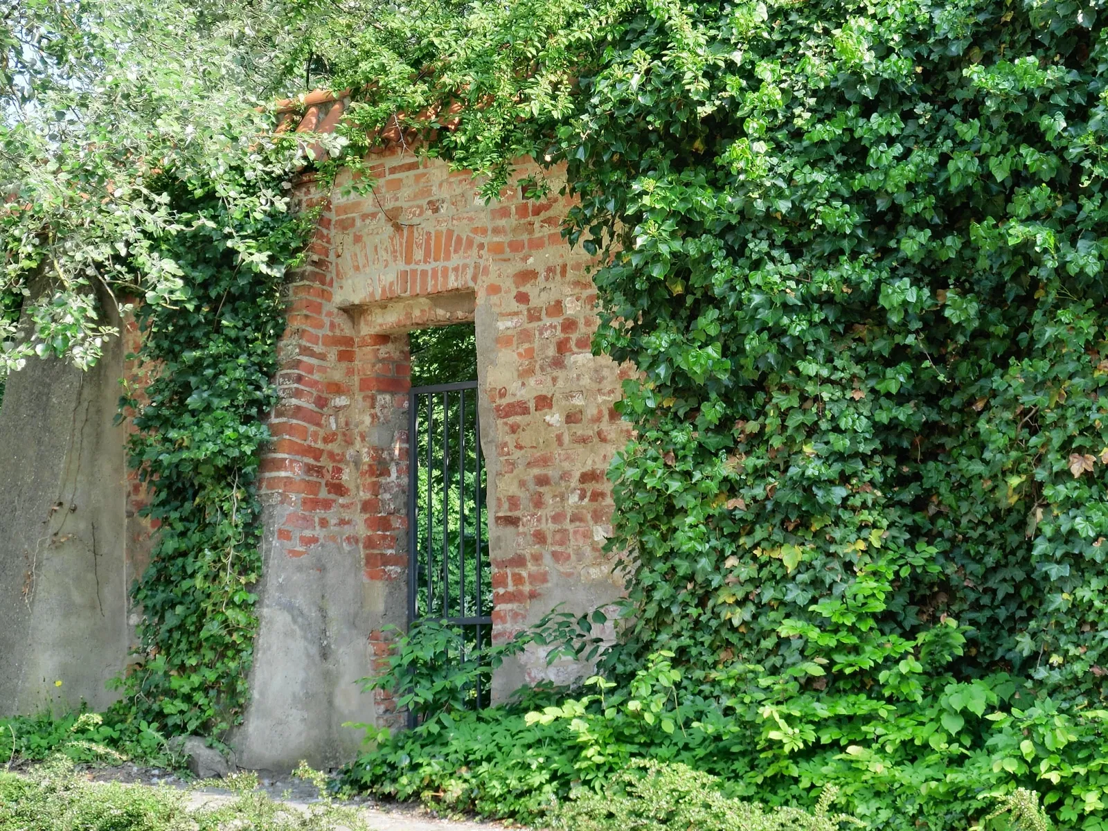 Deutsches Bernsteinmuseum