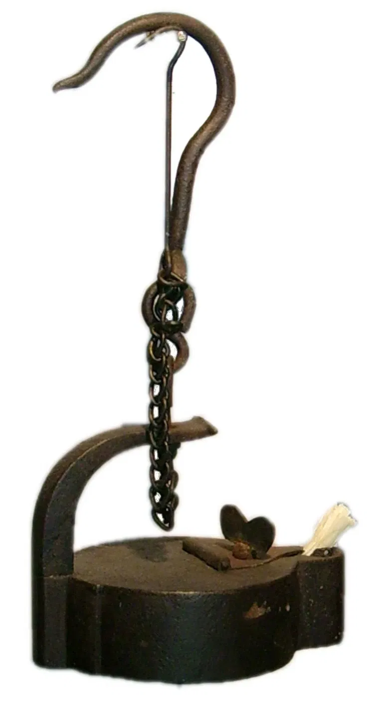 Pfalzmuseum für Naturkunde