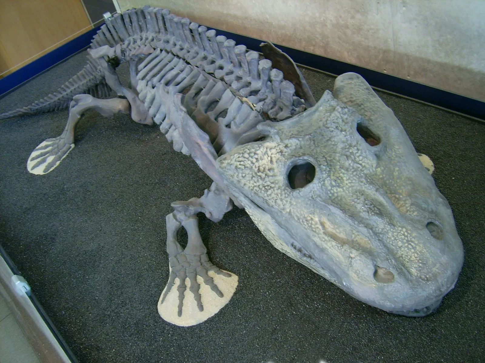 Palatinate Museum of Natural History