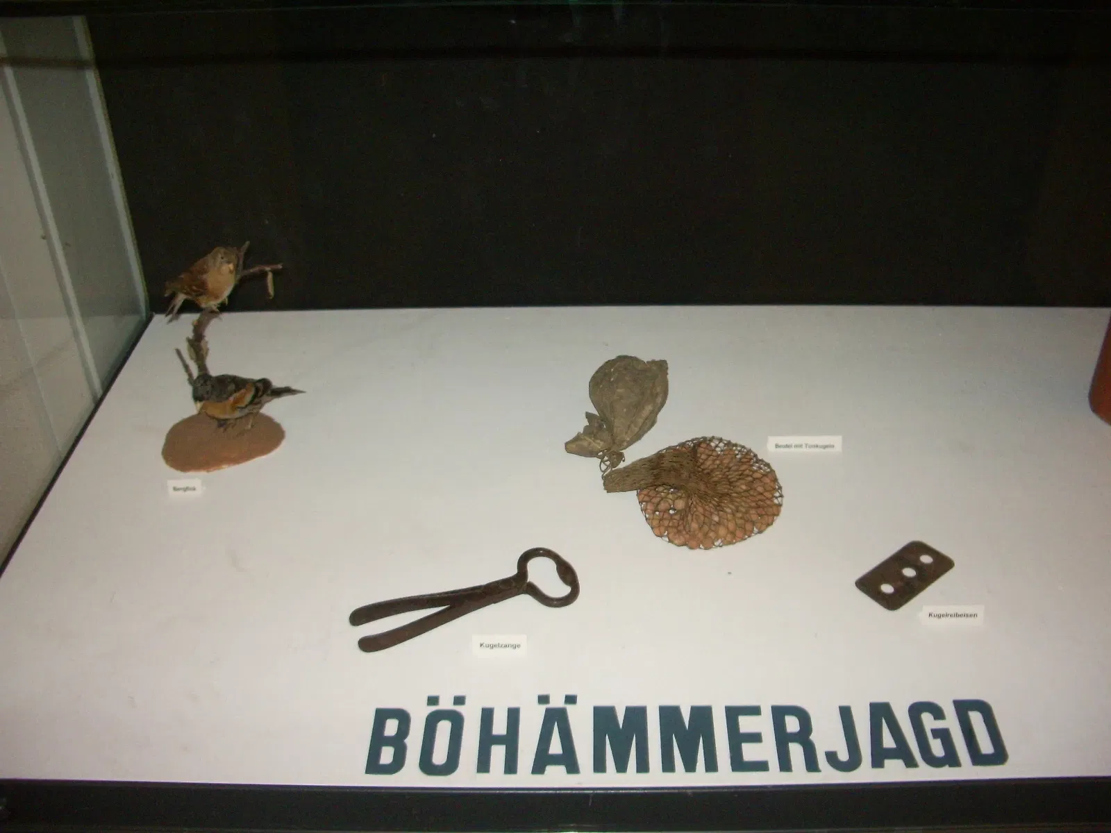 Palatinate Museum of Natural History