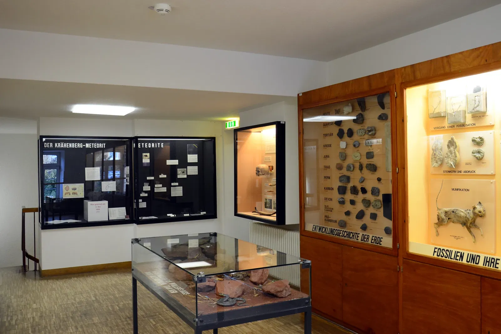 Palatinate Museum of Natural History