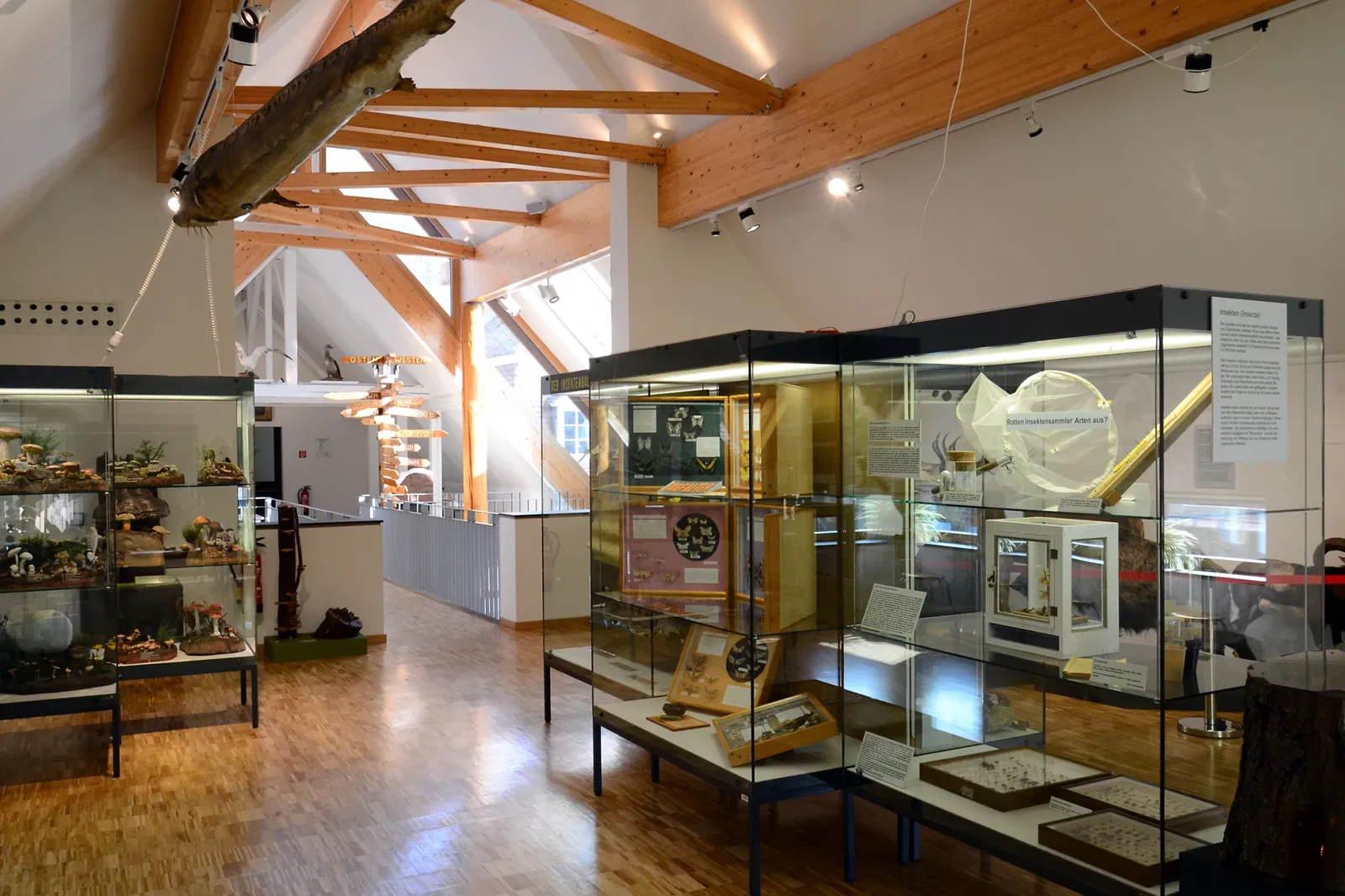 Palatinate Museum of Natural History