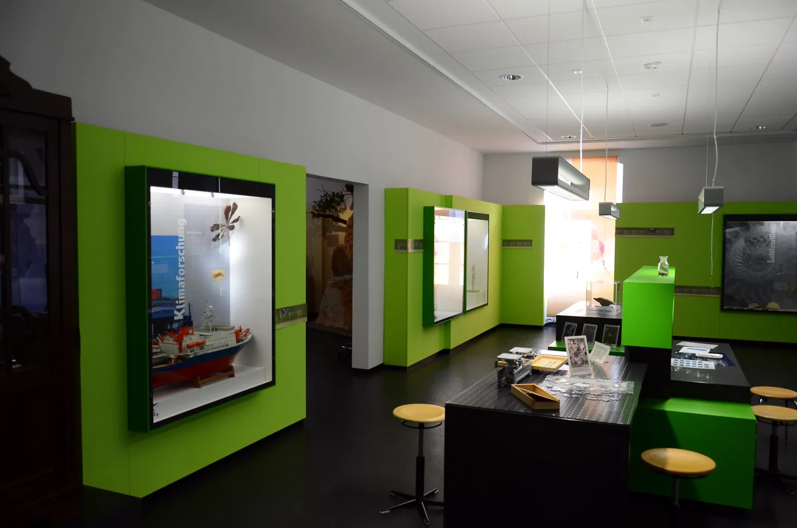 Palatinate Museum of Natural History