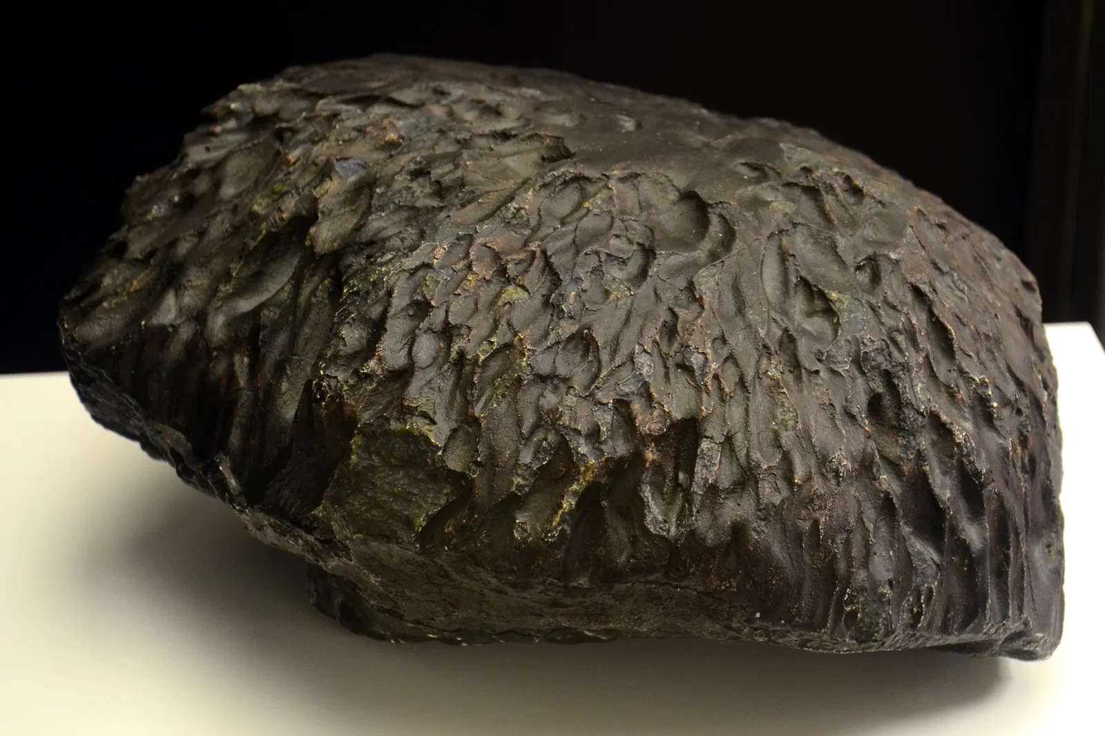 Palatinate Museum of Natural History