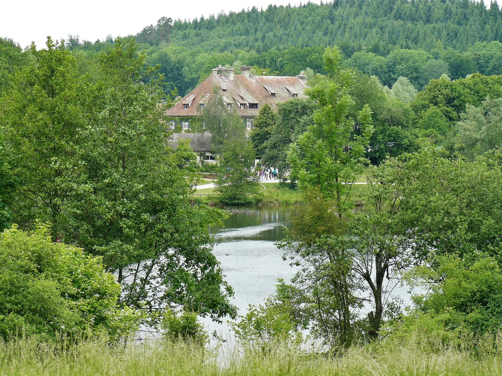 Affenberg Salem