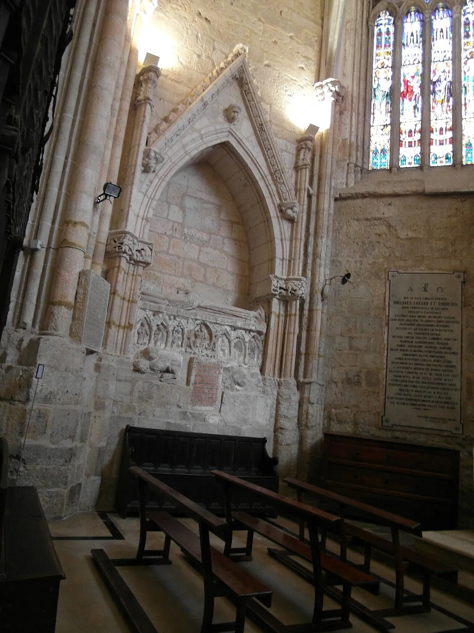 Cattedrale di Palencia