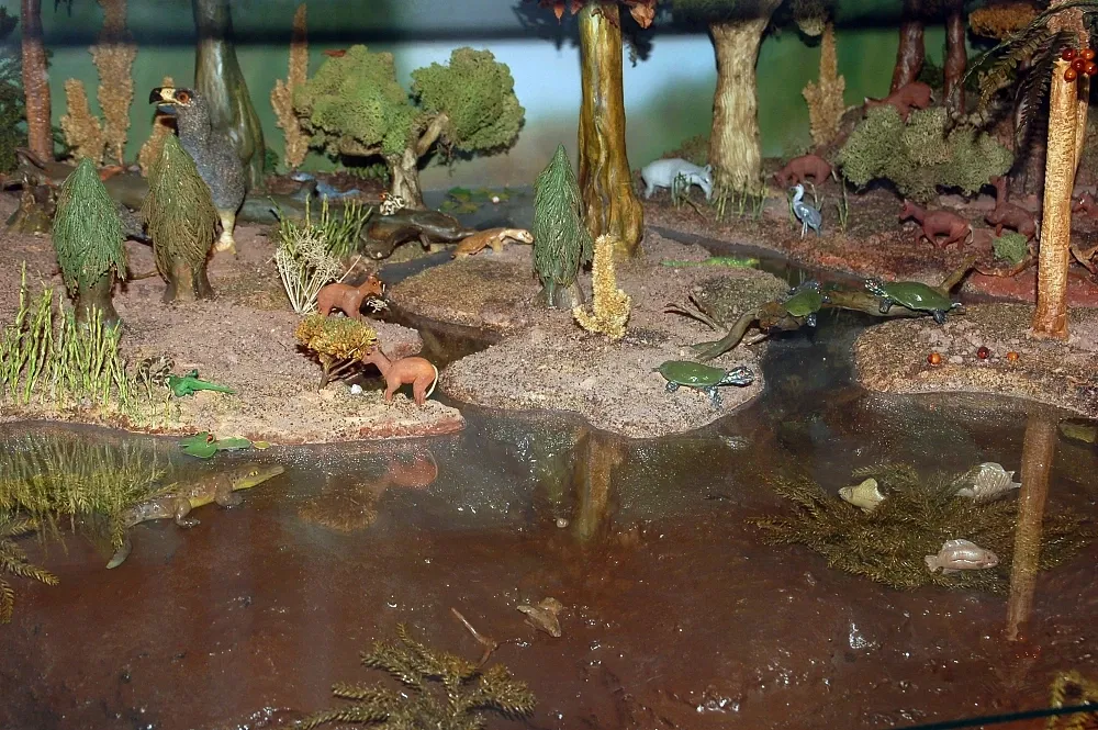 Fossilien- und Heimatmuseum Messel