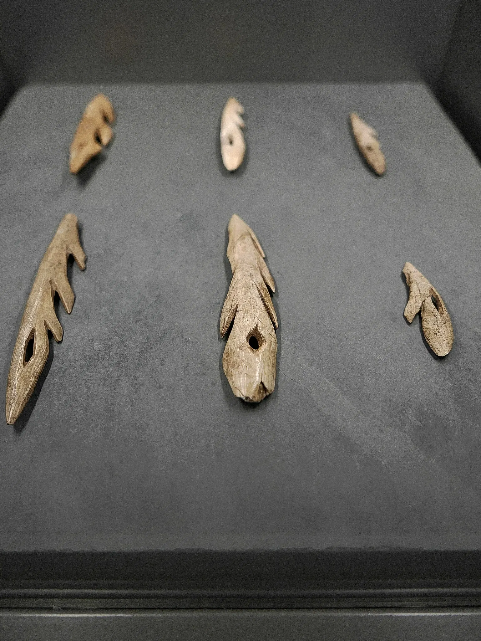 National Museum and Research Center of Altamira