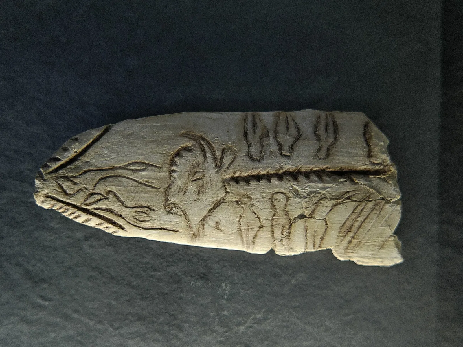 Museo Nacional y Centro de Investigación de Altamira