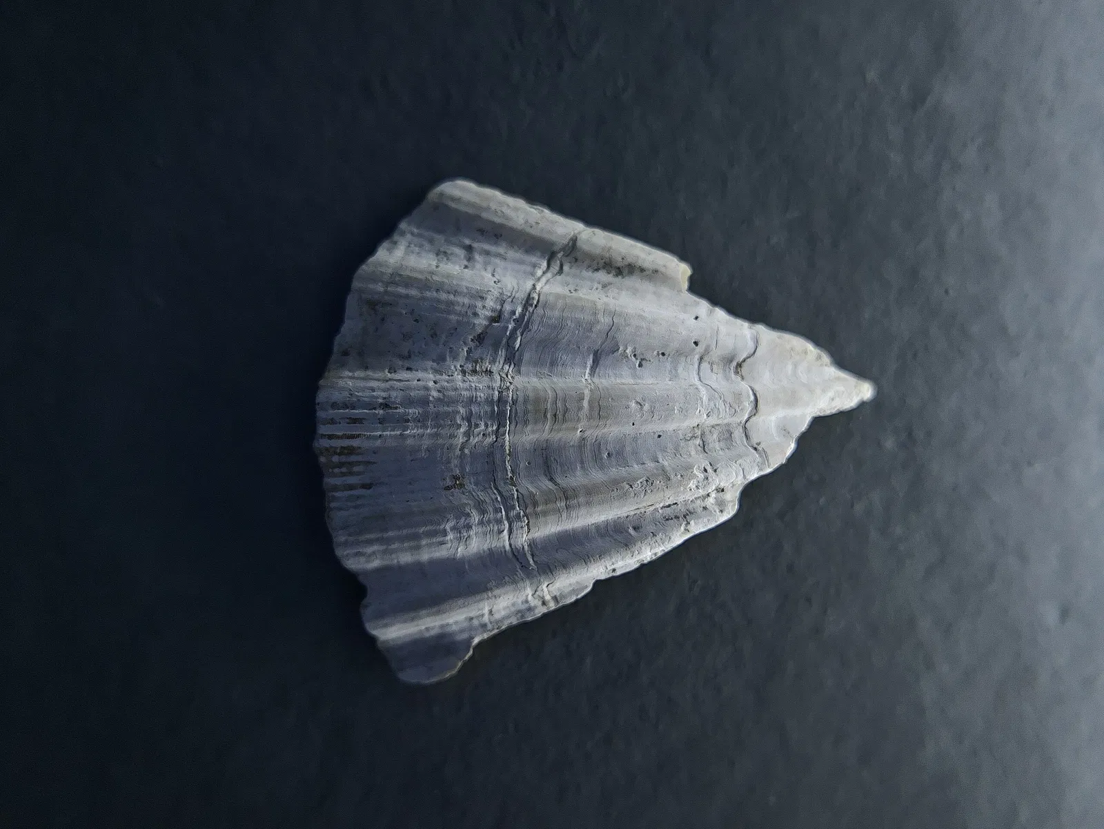 National Museum and Research Center of Altamira