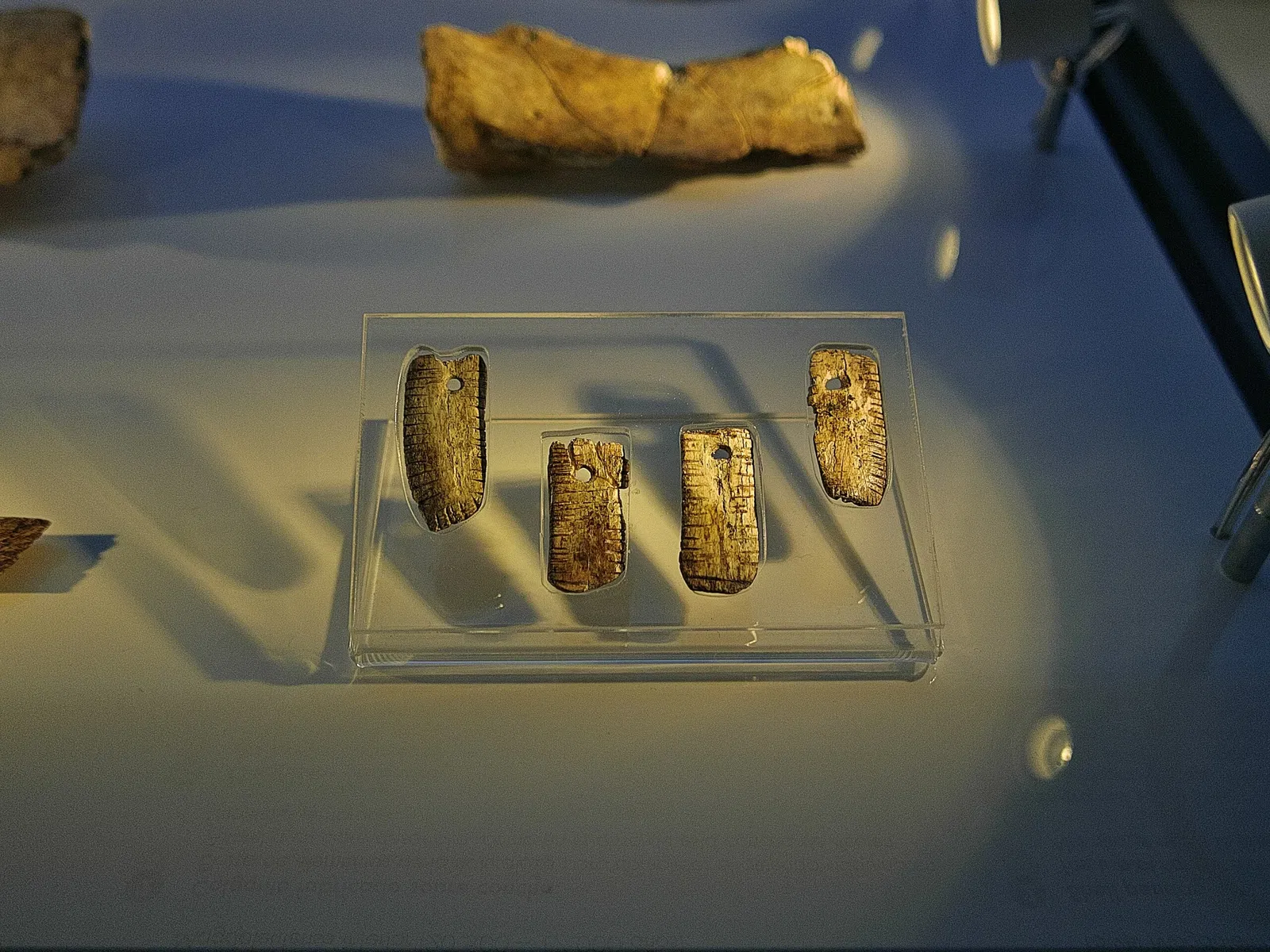 National Museum and Research Center of Altamira