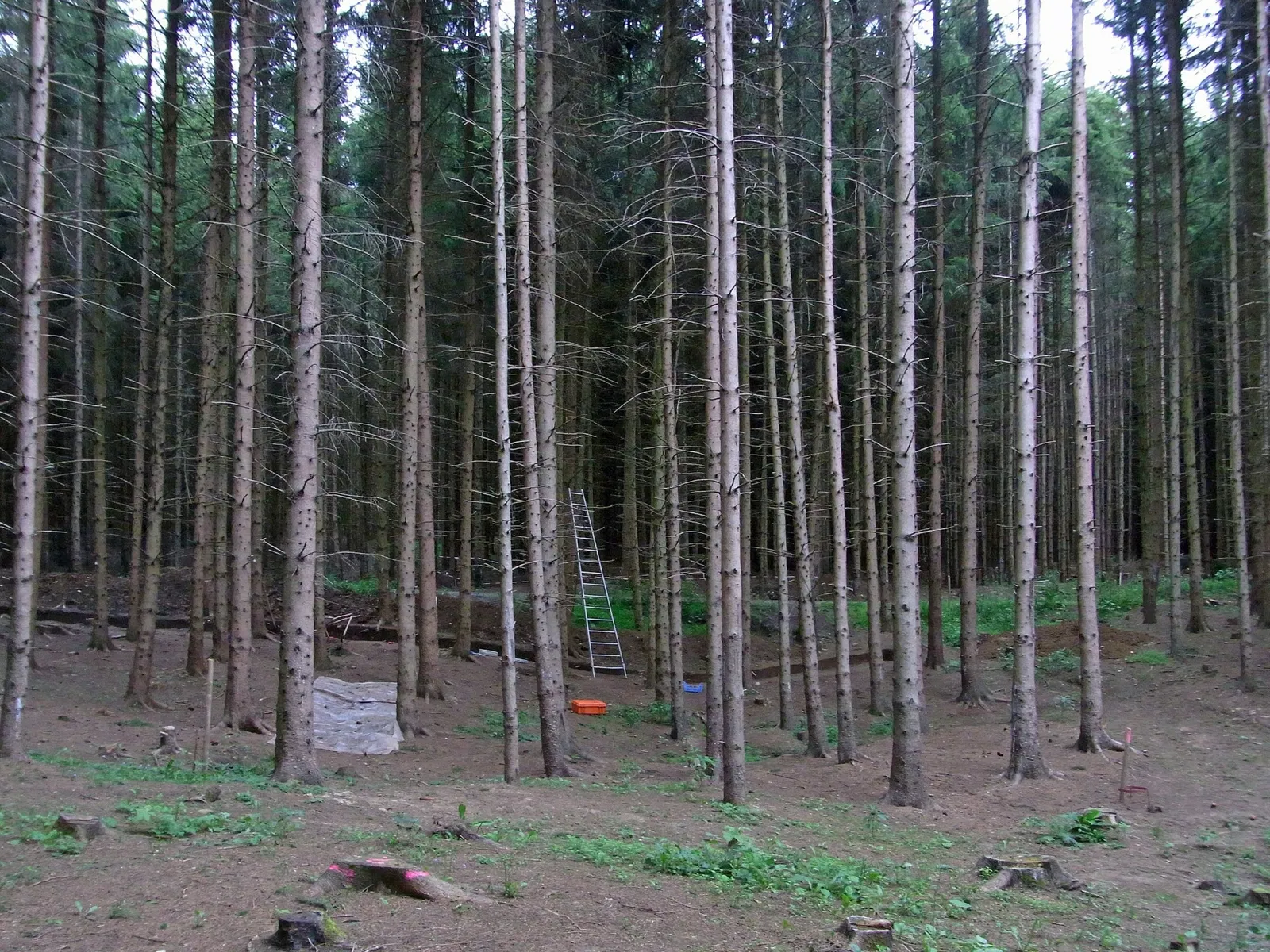 Römisches Freilichtmuseum