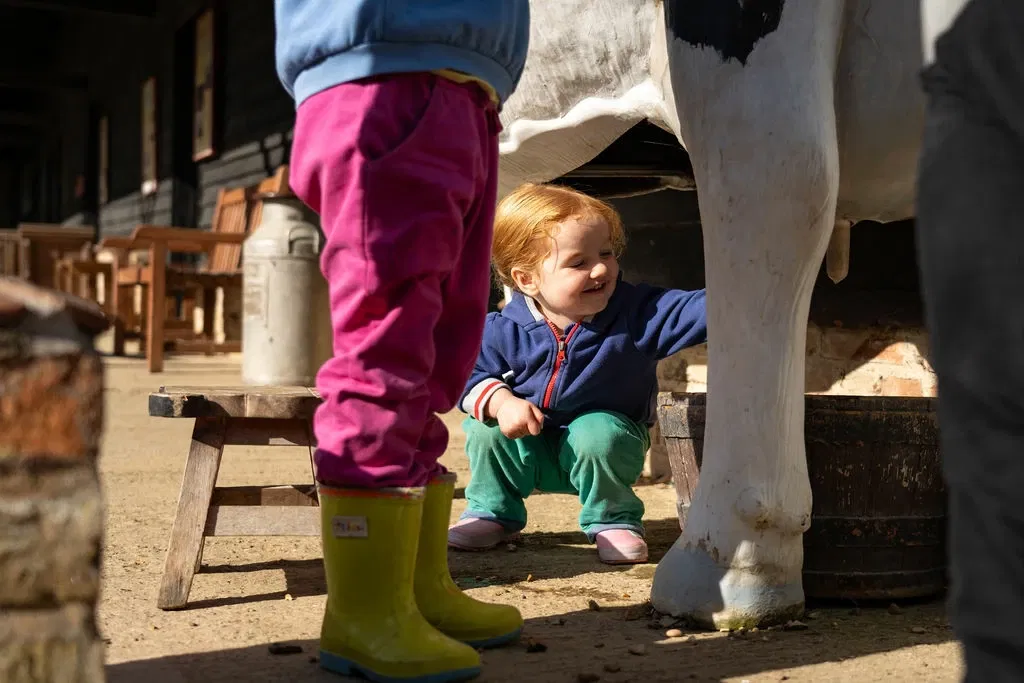Denny Abbey and the Farmland Museum