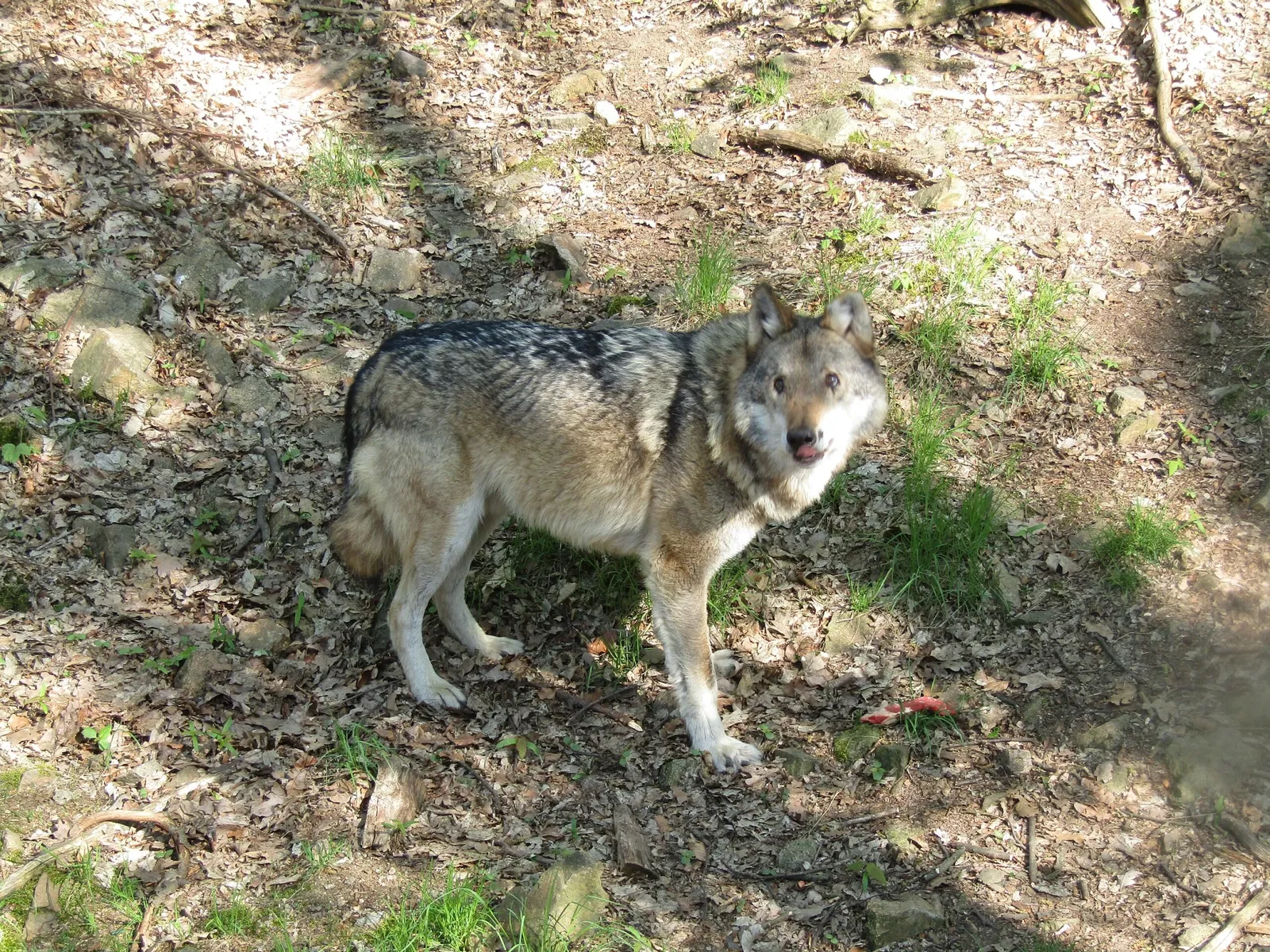 Wildgehege Moritzburg