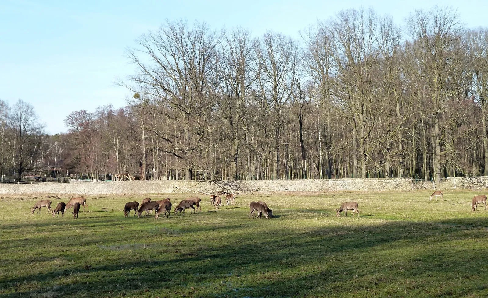 Wildgehege Moritzburg