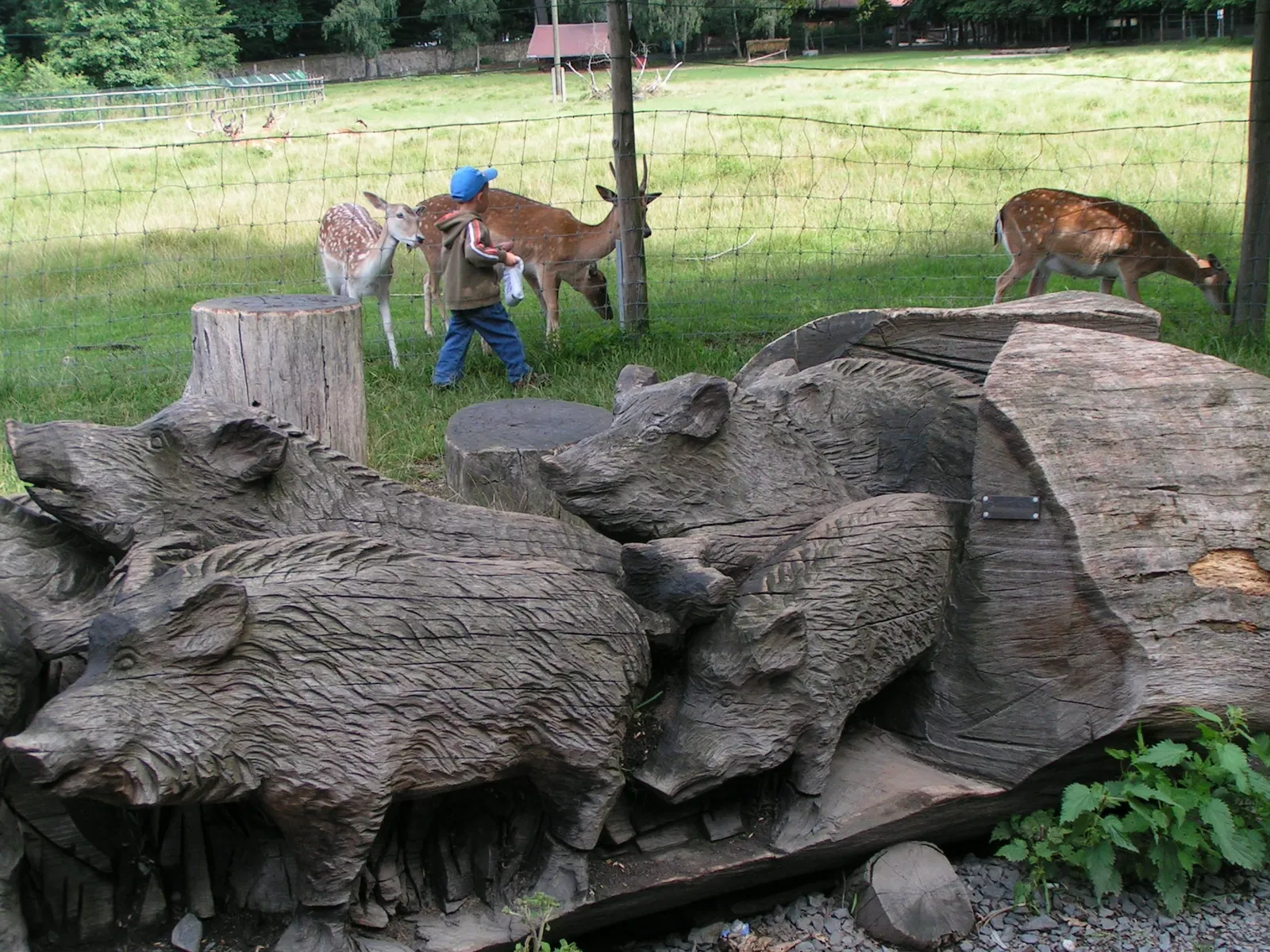 Wildgehege Moritzburg