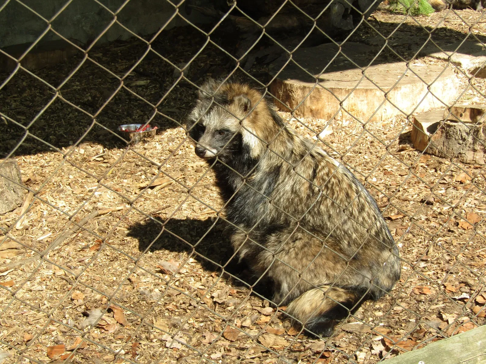 Wildgehege Moritzburg