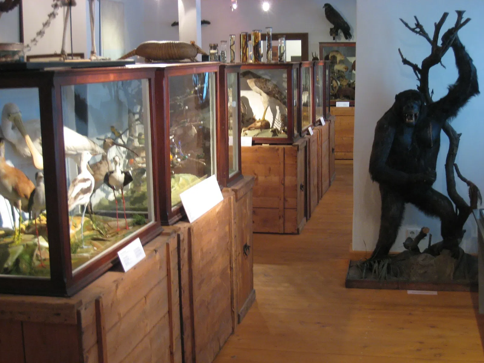 Stadtmuseum Saalfeld im ehemaligen Franziskanerkloster