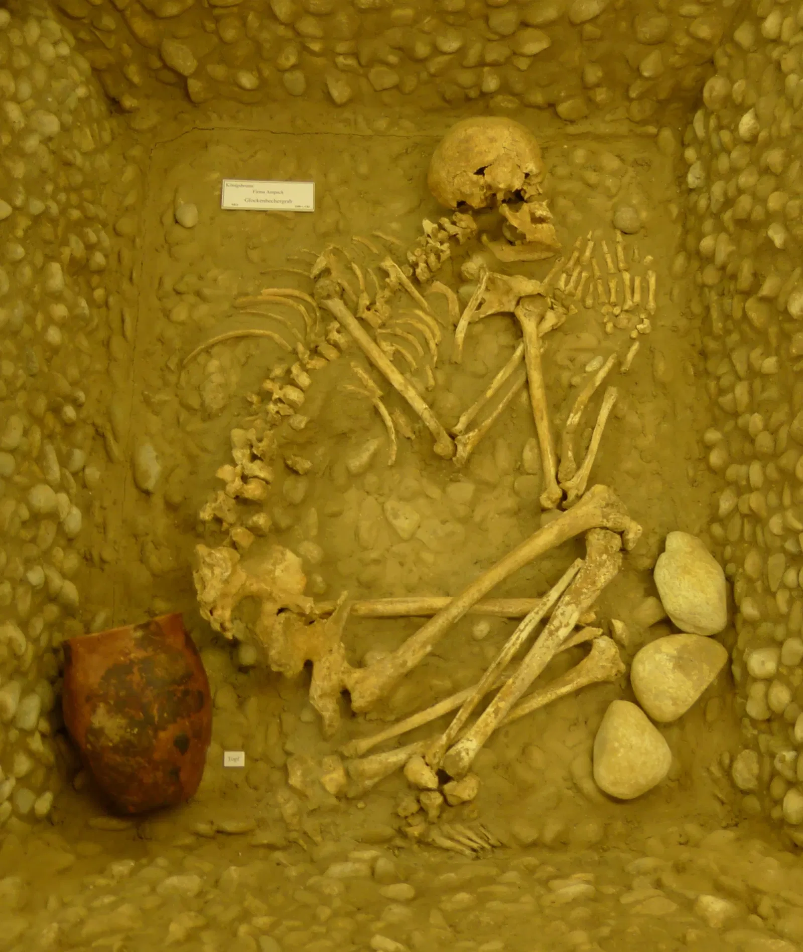 Archäologisches Museum Königsbrunn