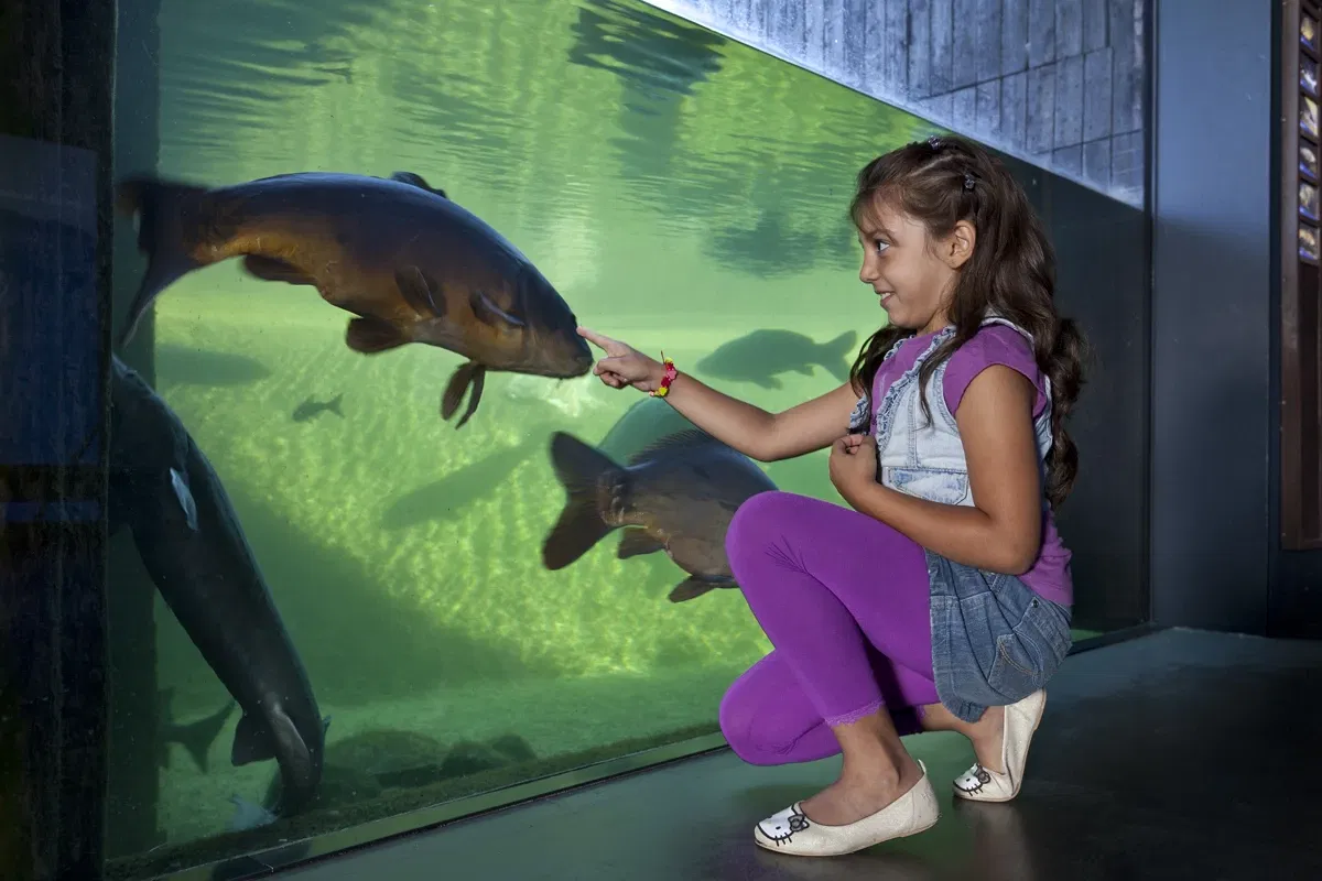 MÜRITZEUM - Das NaturErlebnisZentrum in Waren (Müritz)