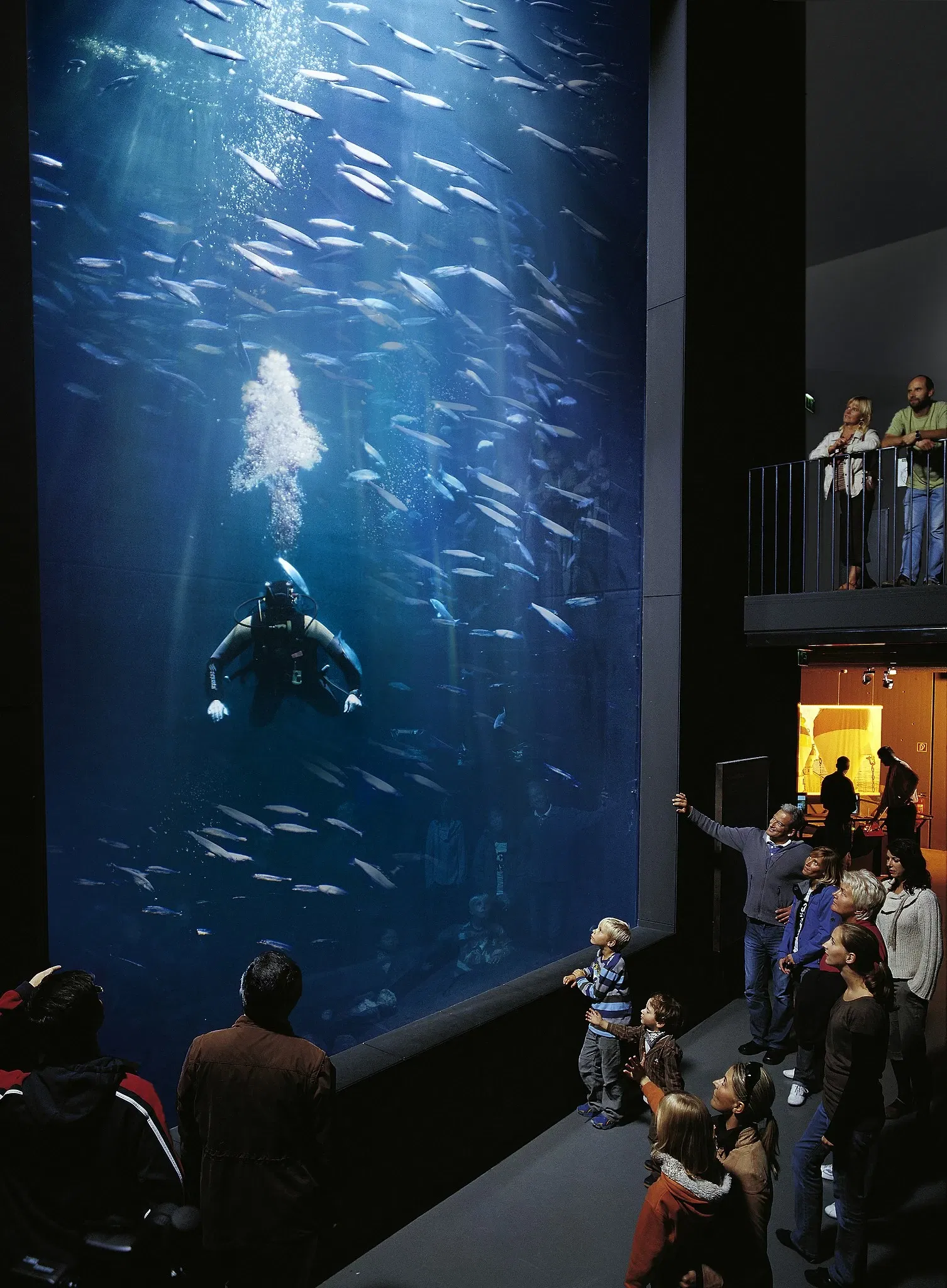 MÜRITZEUM - Das NaturErlebnisZentrum in Waren (Müritz)