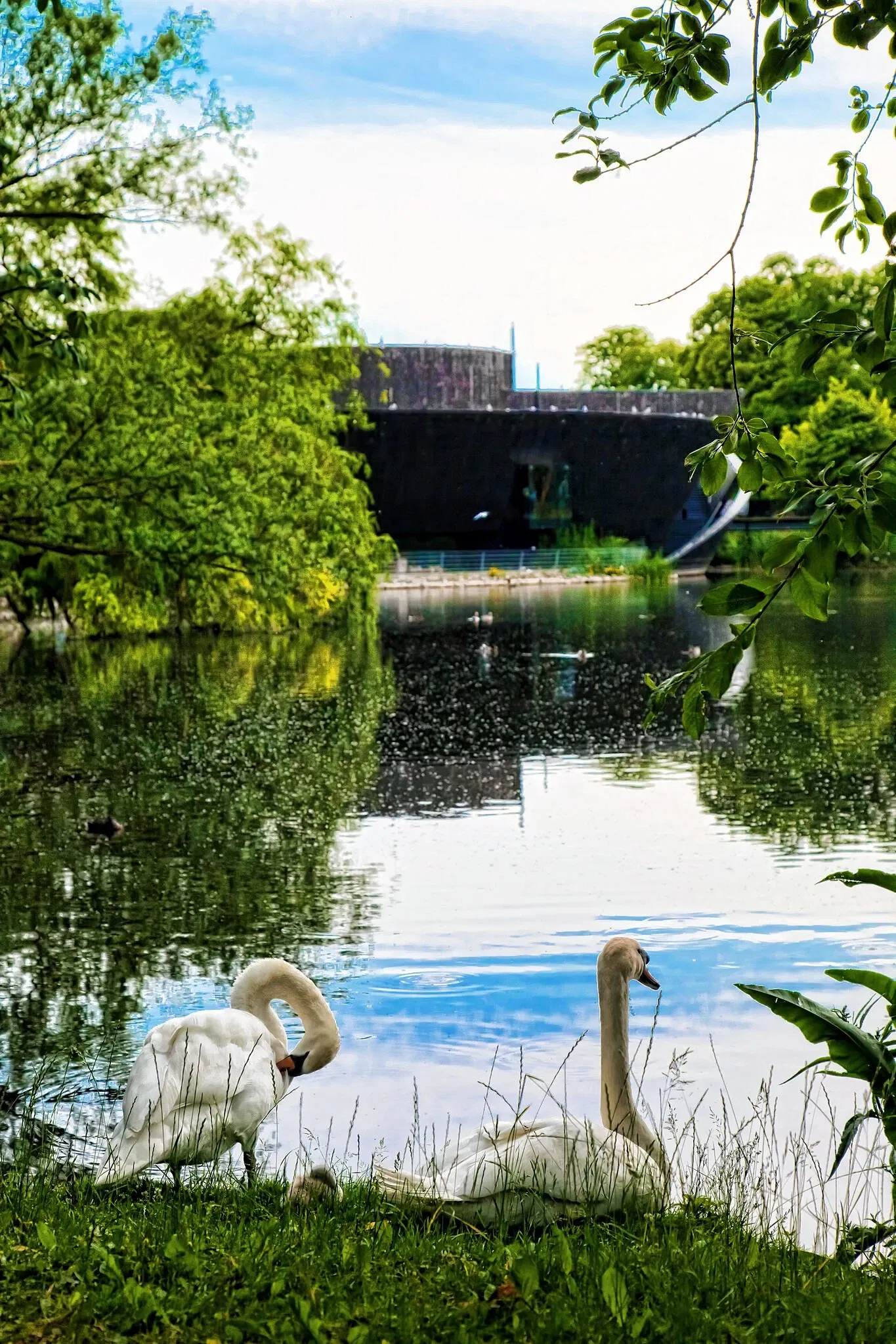 MÜRITZEUM - Das NaturErlebnisZentrum in Waren (Müritz)