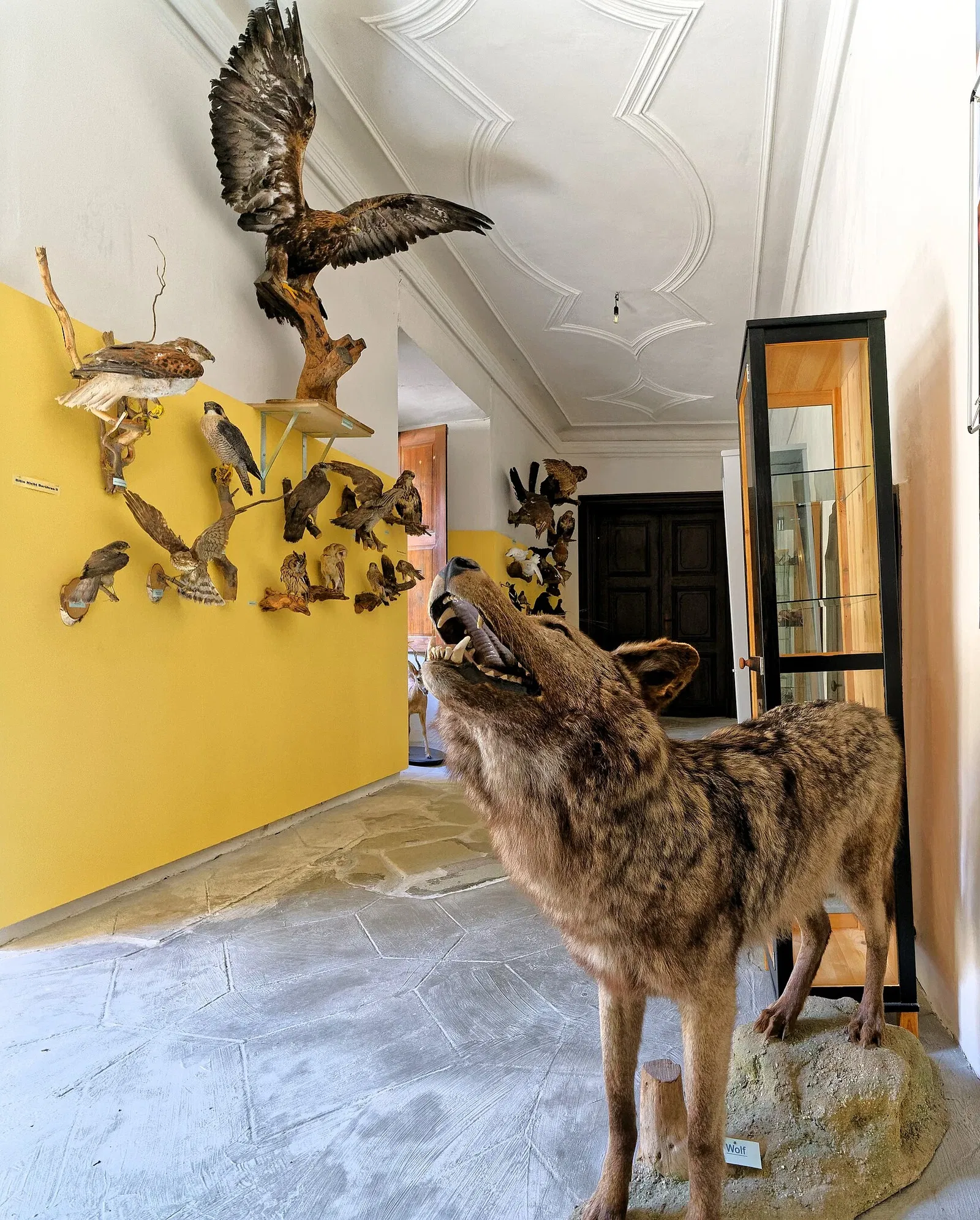 Schloss Schillingsfürst