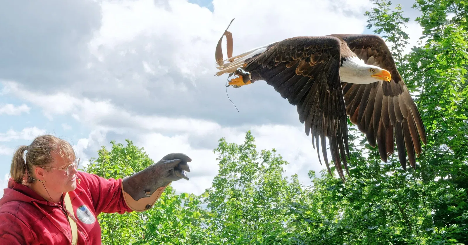 Schloss Schillingsfürst