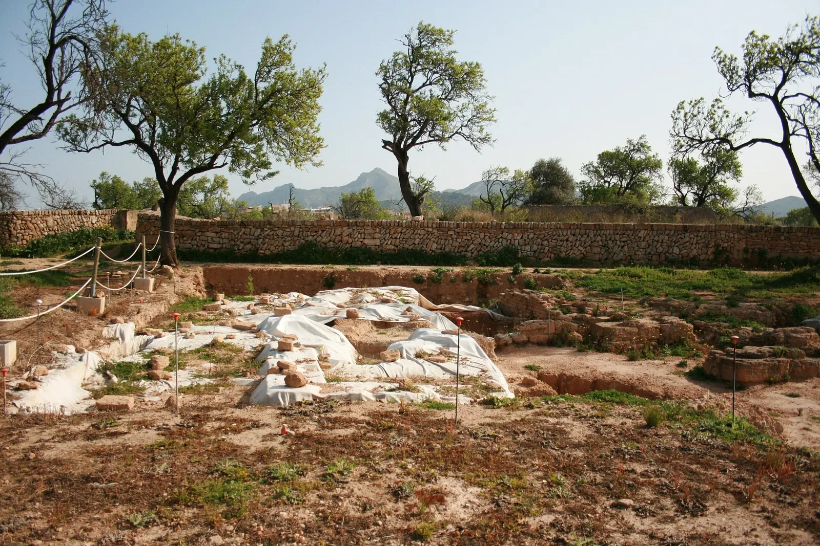 Pollentia (sito archeologico)