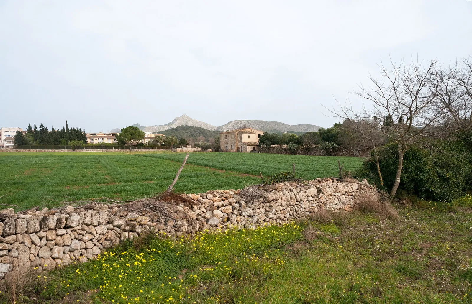 Ciutat Romana de Pollentia