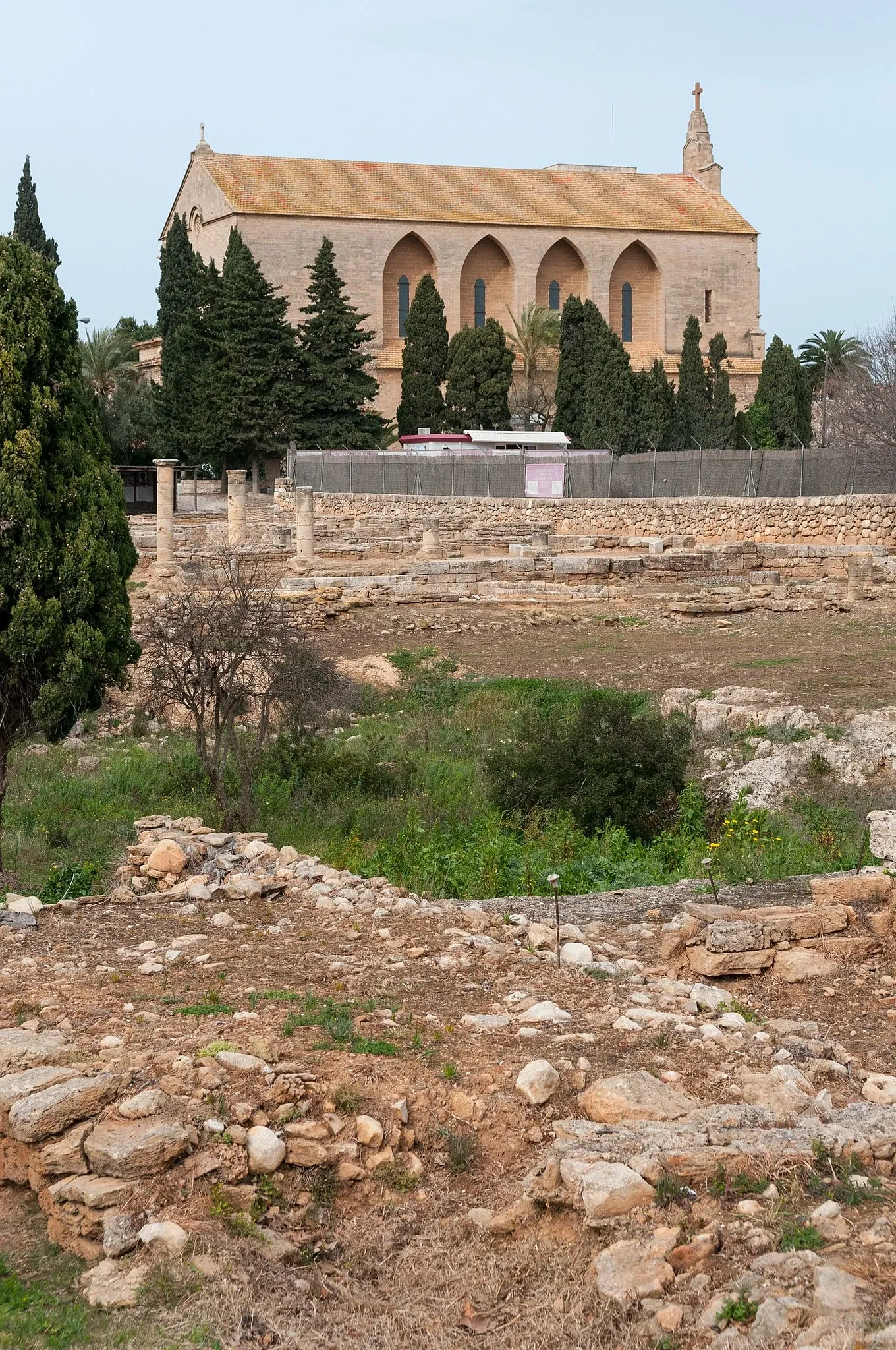 Pollentia (sito archeologico)