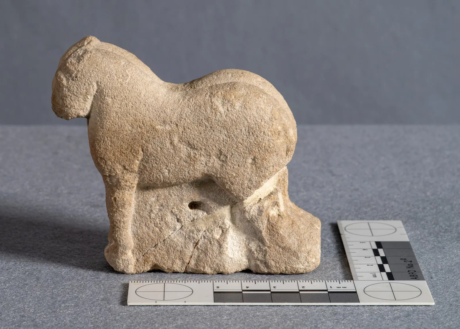 Museo de Arte Ibérico El Cigarralejo