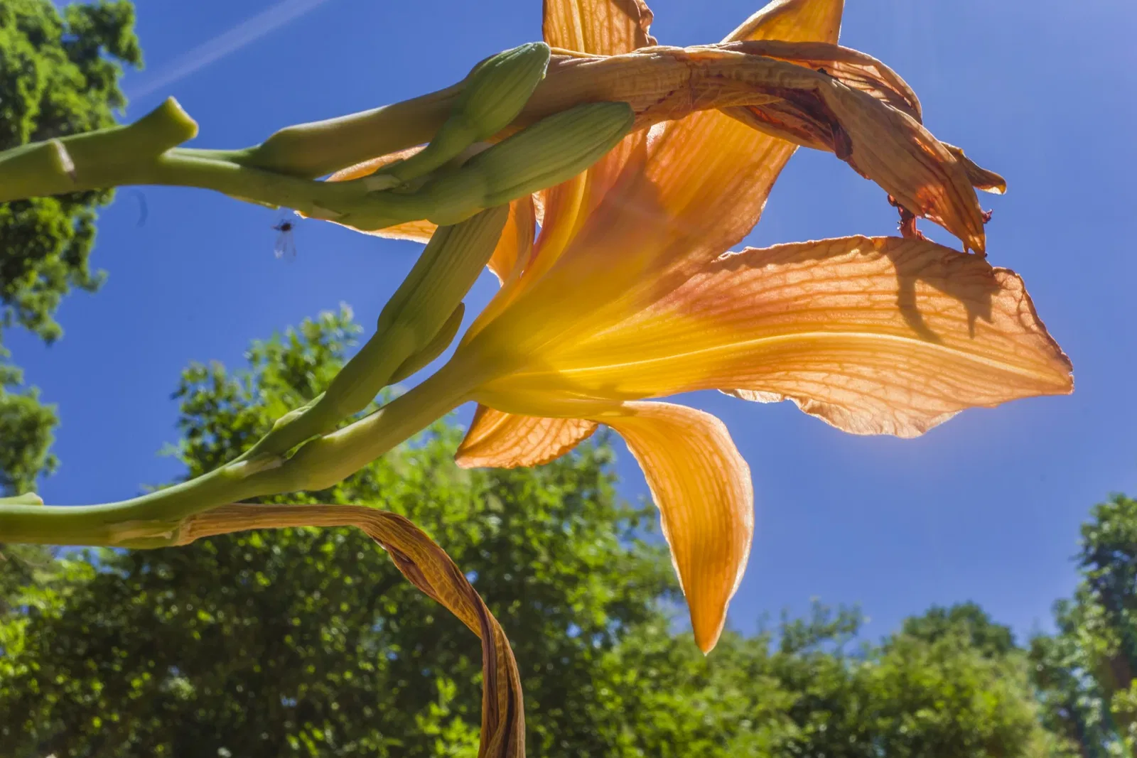 Tierpark Bad Liebenstein