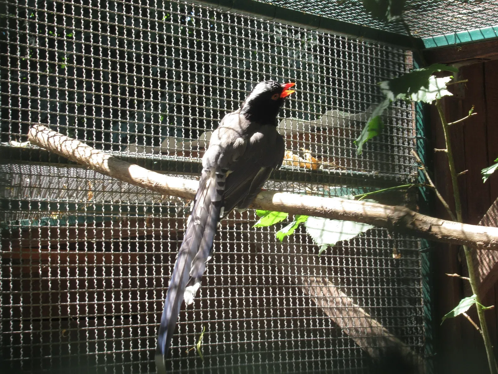 Tierpark Bad Liebenstein