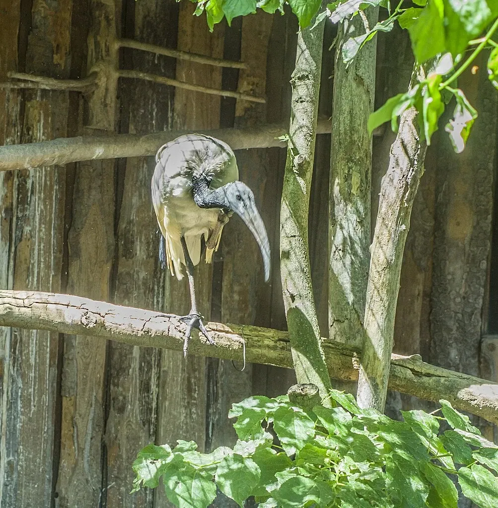 Tierpark Bad Liebenstein